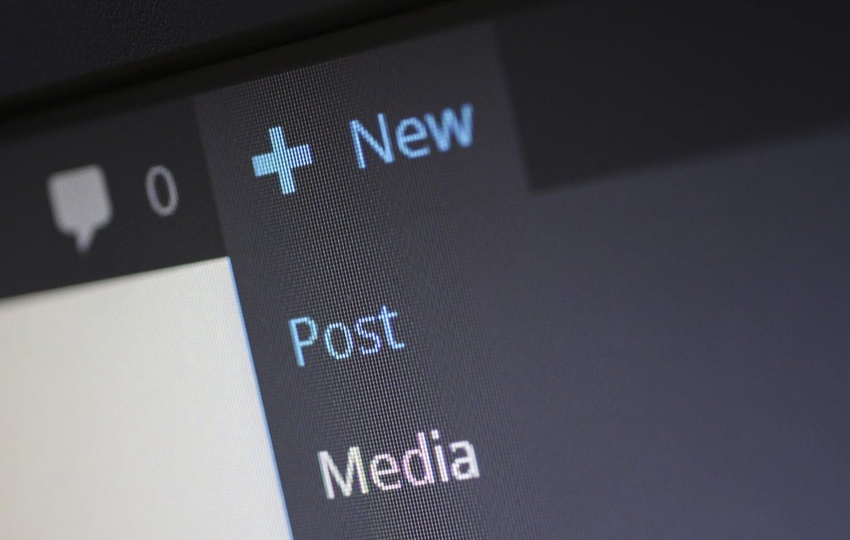 wordpress code editor